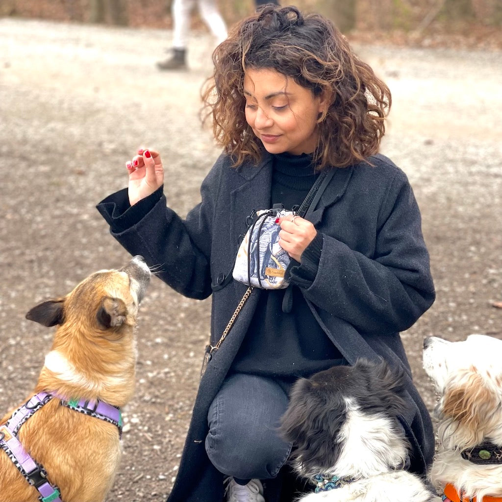 Leckerlibeutel Fashion Line schwarz Goodiebag mit Hundeleine von ScandiPaws