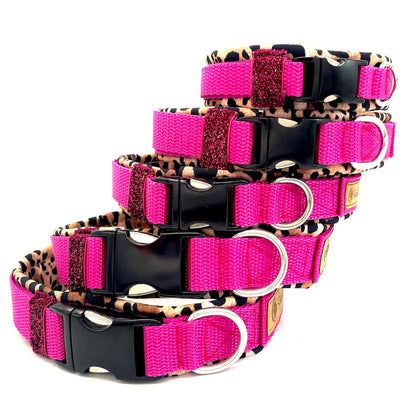 Dog Collar Crazy Pink Leo 