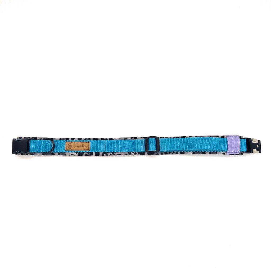 Hunde Halsband Aqua Leo