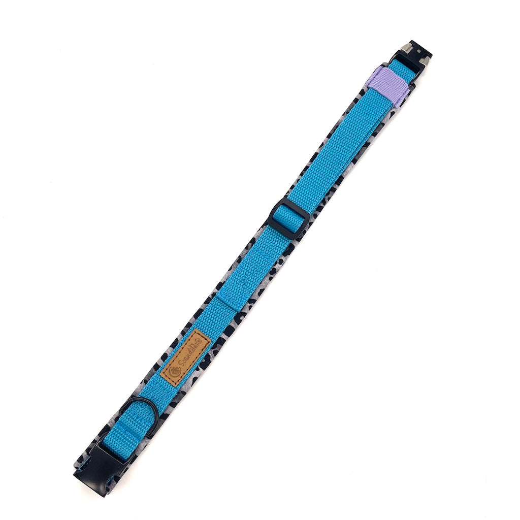 Hunde Halsband Aqua Leo