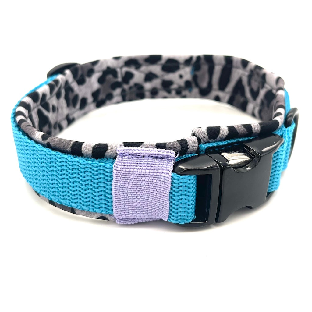 Hunde Halsband Aqua Leo