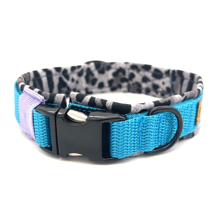 Hunde Halsband Aqua Leo