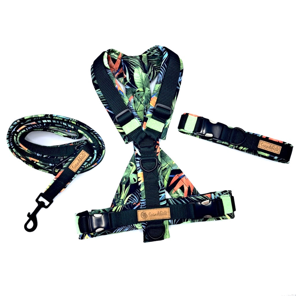 Jungle Hunde Halsband aus Softshell von ScandiPaws 