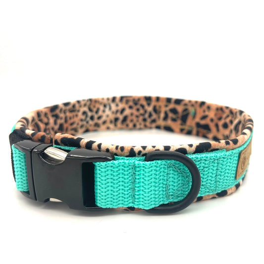 Halsband aus Softshell von ScandiPaws Mint